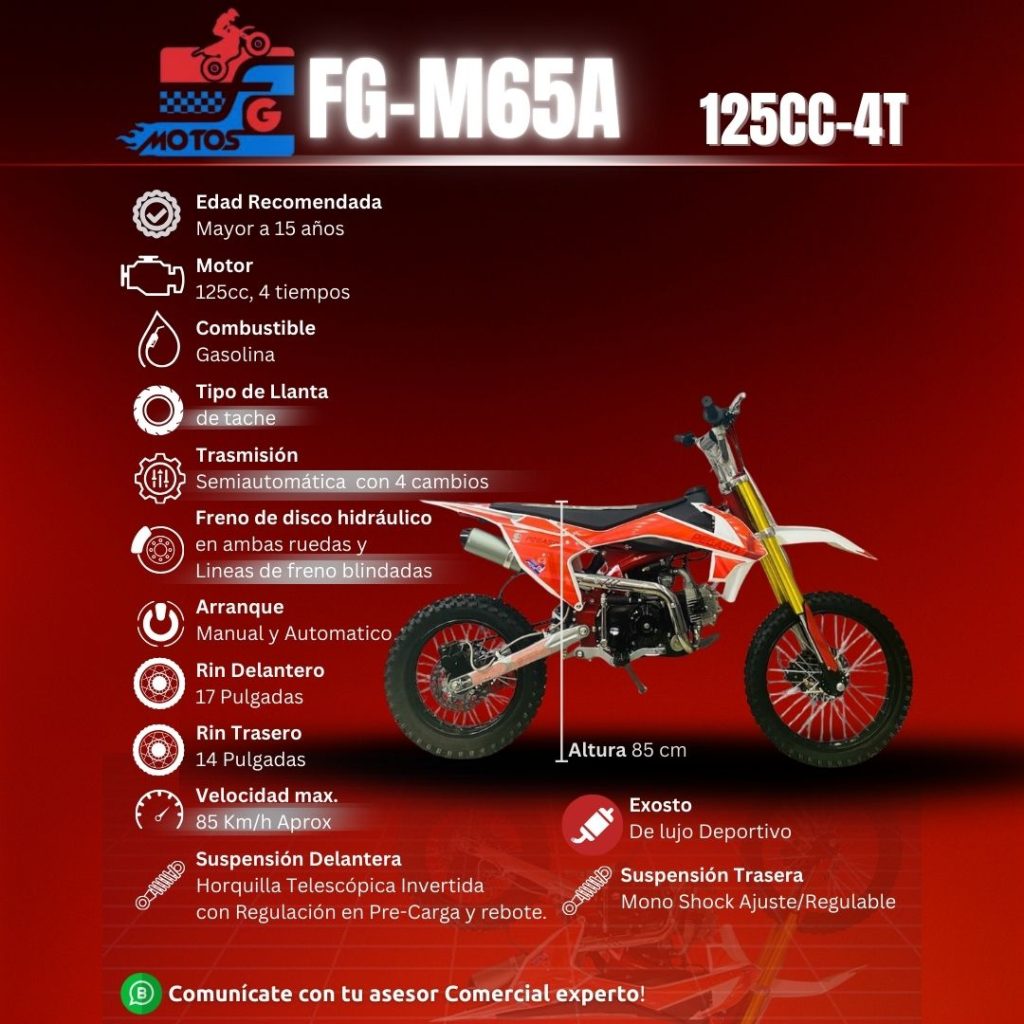 FG Motos mini motos 110cc Florencia
