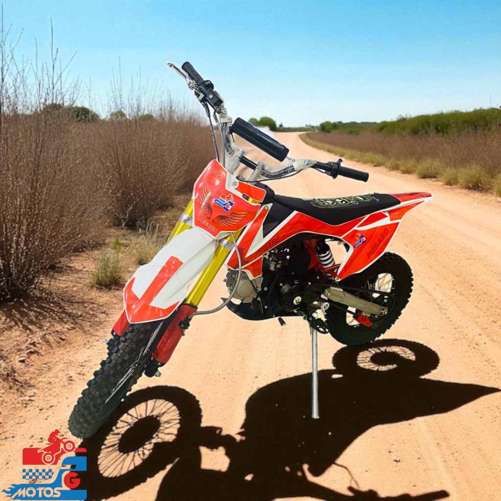 FG Motos mini motos Florencia 110cc