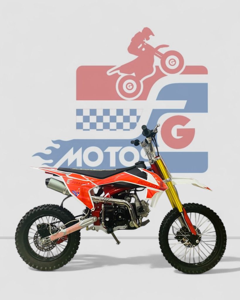 FG Motos mini motos Florencia 110cc distribuidor
