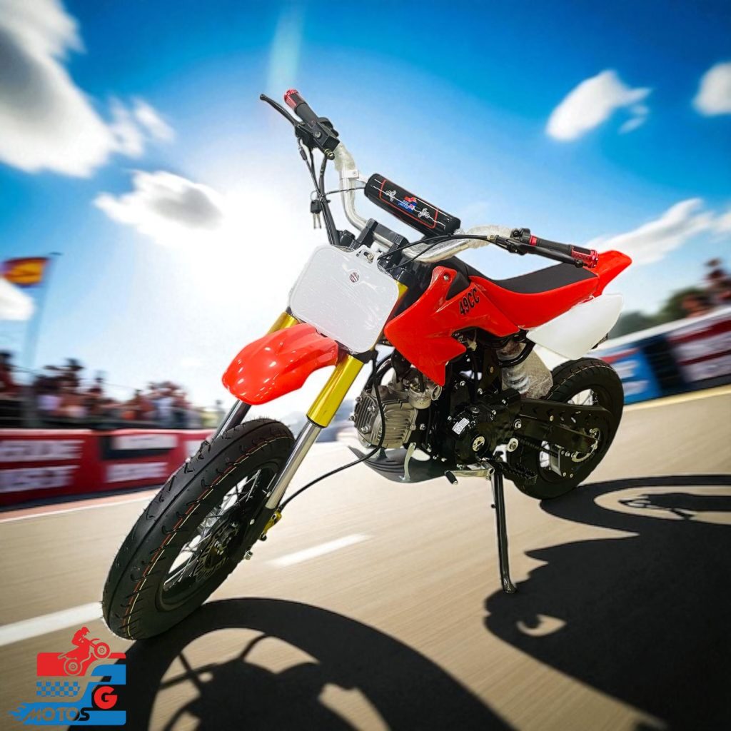 FG Motos mini motos Neiva 110cc